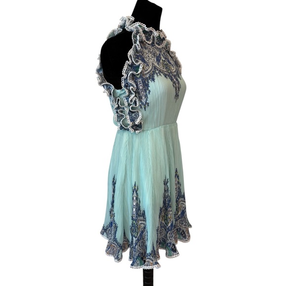 The Arlana Short Pleated Full Dress - Picture 4 of 11